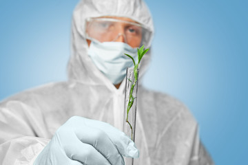 Scientist holds tube with green plant