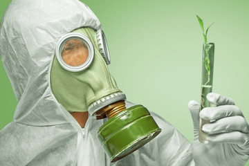 Scientist examines green plant