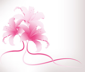 Vector background with pink lily