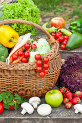 Fresh organic vegetables in the wicker basket