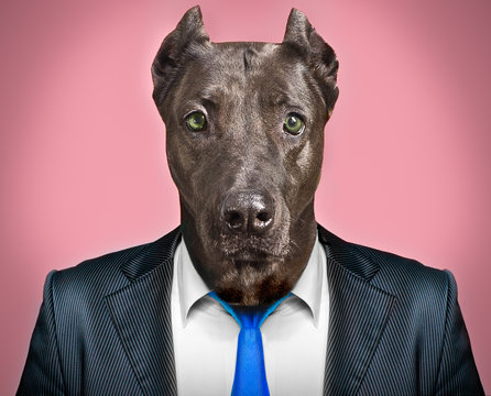 Portrait Of A Dog In A Business Suit