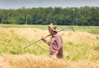 Working in barley field