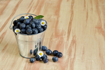 Blueberries in a bucket with daisy flowers