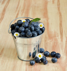 Blueberries in a bucket with daisy flowers