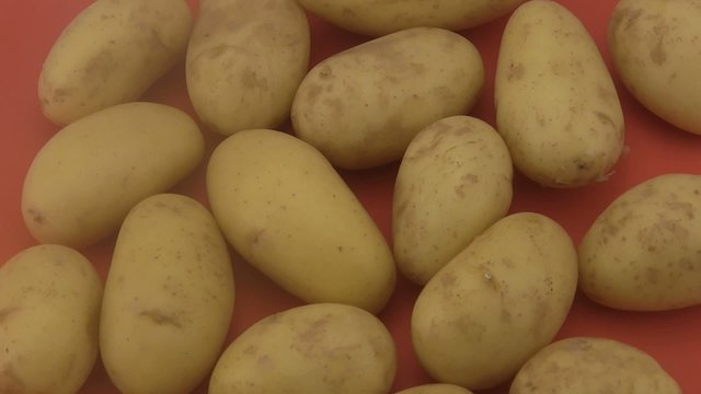 Fresh organic potatoes a red  background.