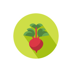 Radish icon