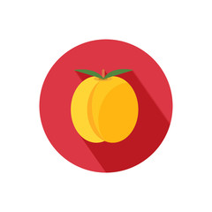 Apricot icon