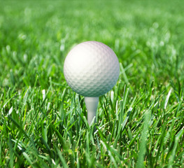 golf ball