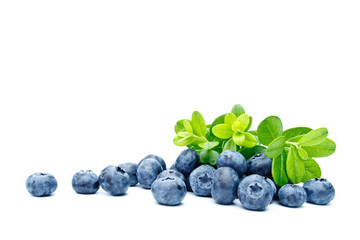 Ripe bilberries on white background