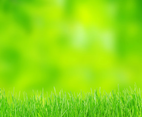 Plakat grass