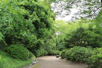 Naklejka premium Sance Road