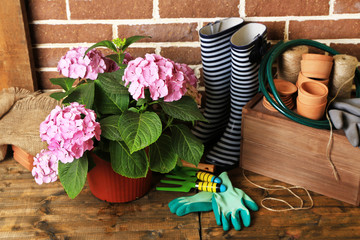 Tools of gardener on  bricks background