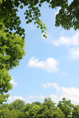 blauer Himmel mit Blätterrahmen