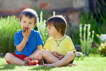 Two cute boys eating strawberries