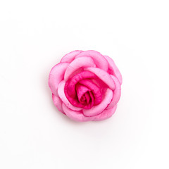 Pink rose isolated on white background