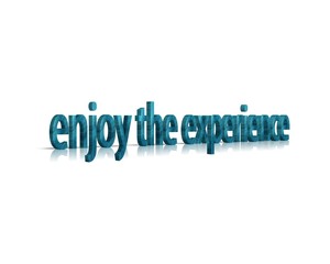 enjoy the experience