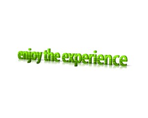 enjoy the experience