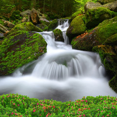 Waterfall in the national park Sumava-Czech Republic