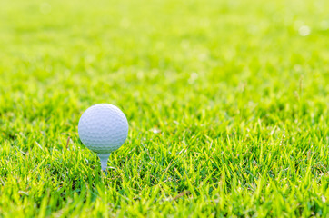Golf ball on green grass