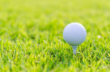 Golf ball on green grass