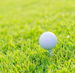 Golf ball on green grass