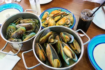Crédence de cuisine en verre imprimé Crustacés Mussels