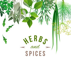 herbs and spices © Marina Gorskaya