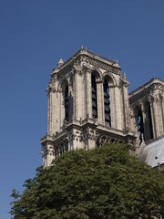 Naklejka na ściany i meble Katedra Notre Dame w Paryżu