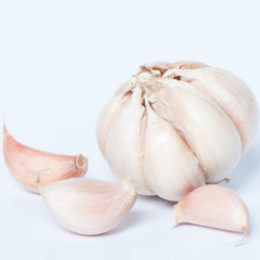 Garlic isolated