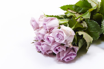 roses