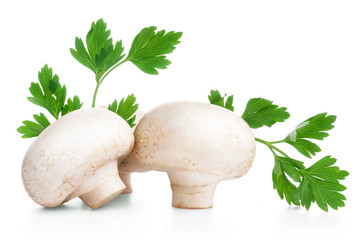 Fresh champignon with green parsley isolated on white background