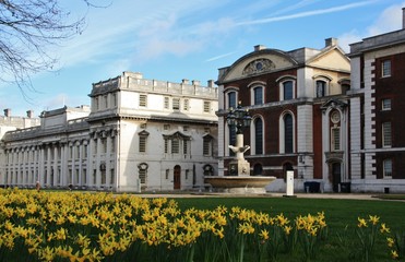 Daffodils at Greenwich