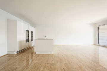 beautiful empty apartment, white kitchen