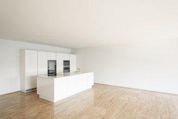beautiful empty apartment, white kitchen
