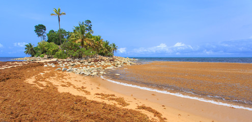 View of beach in Ghana, West Africa