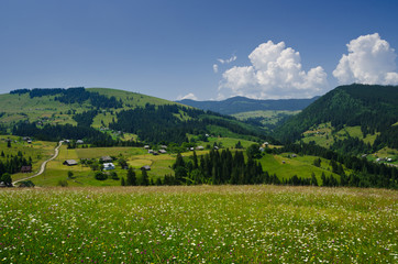 Fototapeta na wymiar Flower meadow - veiew at the small town from mountain