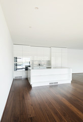 Fototapeta na wymiar beautiful empty apartment, white kitchen