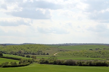 Naklejka premium countryside