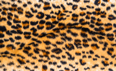 texture of leopard skin and fur