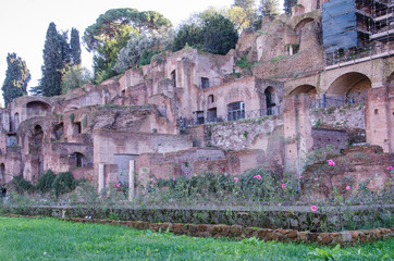 Obraz premium Ruins of the Temple of Vesta at the Foro Romano