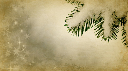 weihnachten sterne tannenzweig