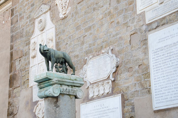 Fototapeta premium Sculpture of Romulus and Remus