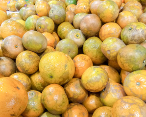 Oranges