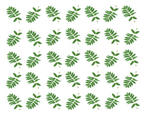 the background of the leaves