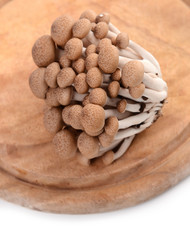 shimeji mushroom on chopping block