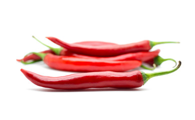 Hot red chili or chilli pepper isolated.