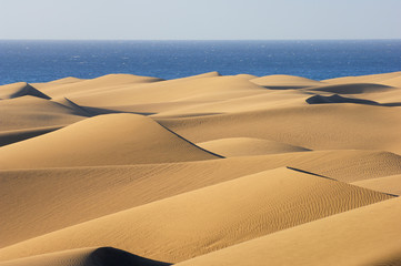 Dunes of Maspalomas & Océan