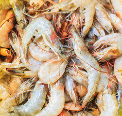 Raw shrimps