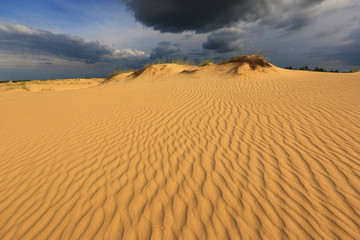 dunes in sandy desert