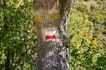 marcas de orientacion para excursionistas